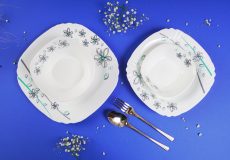 تفاوت ظرف چینی با بن چاینا