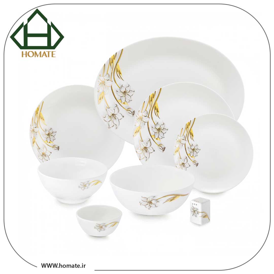 هدیه منزل جدید در هومیت